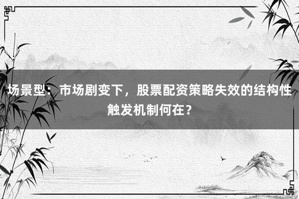 场景型：市场剧变下，股票配资策略失效的结构性触发机制何在？